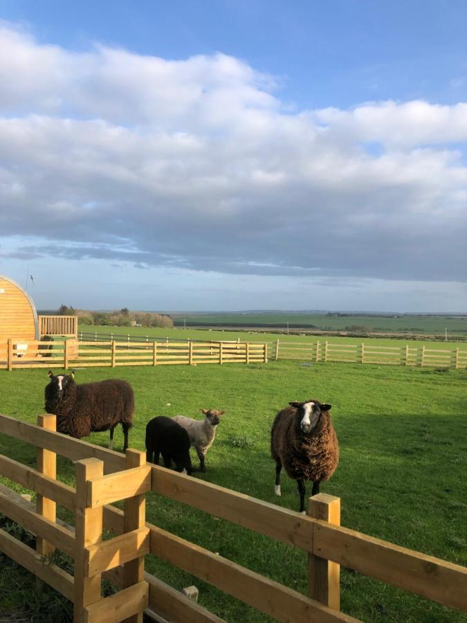 Caithness View Luxury Farm Lodges And Bbq Huts Wick  Exterior foto